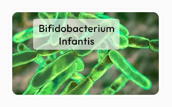 Bifidobacterium infantis
